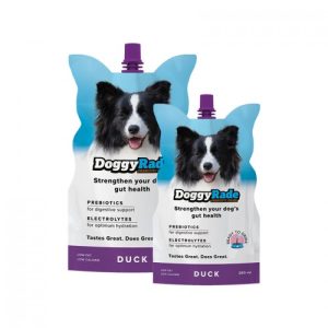 Doggyrade eend